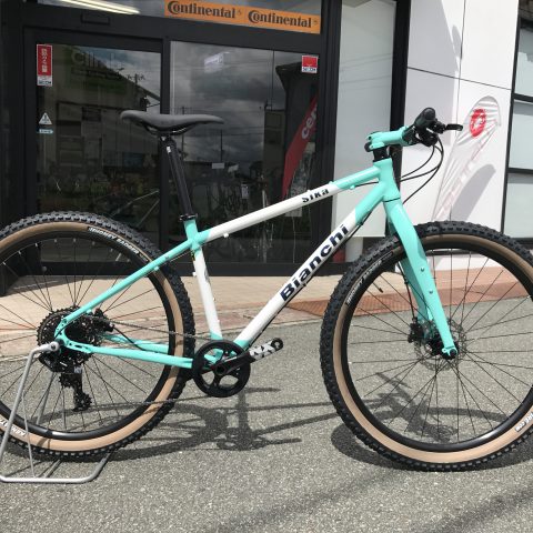 bianchi sika mountain bike